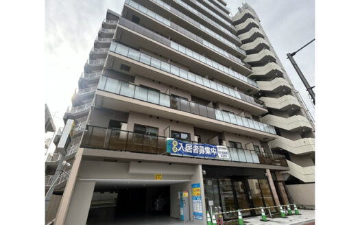 Prele Duc Kameido VI